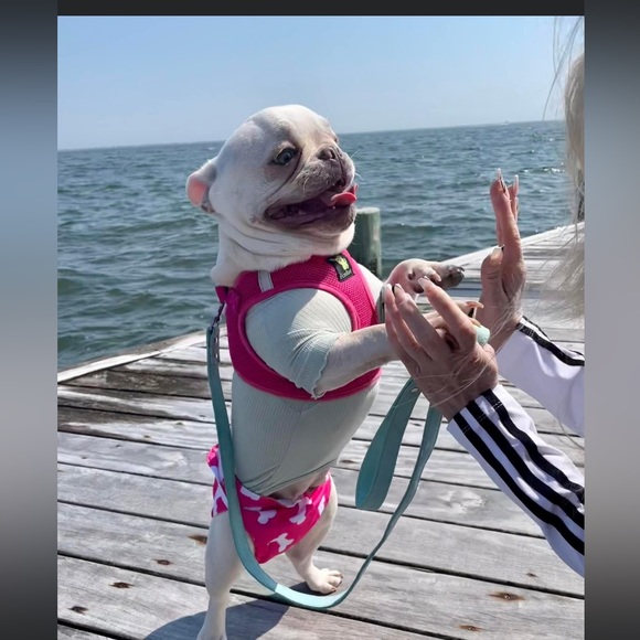 Meet your Posher’s, Sister duo Lulu & Weesa - Picture 6 of 10